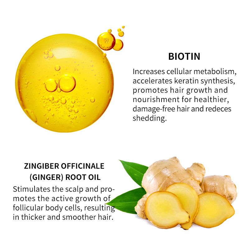 เซรั่มปลูกผมสมุนไพรพร้อมไบโอตินและขิง